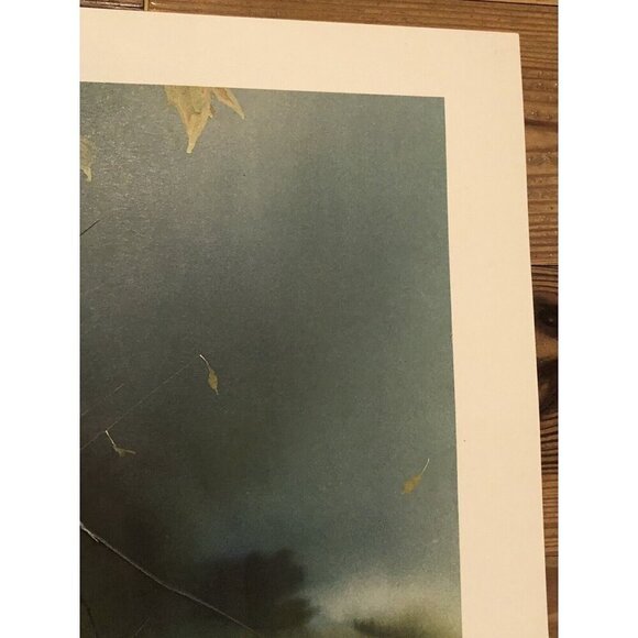 32"x22" Limited Edition Signed Numbered PRINT Last Leaves by CAROLYN BLISH 1980 - Picture 5 of 9